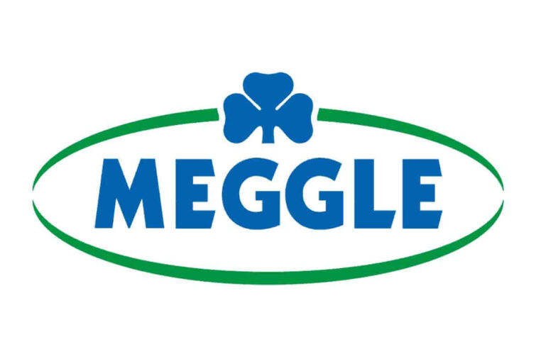 Portfolio - Meggle - Kybernetická bezpečnosť